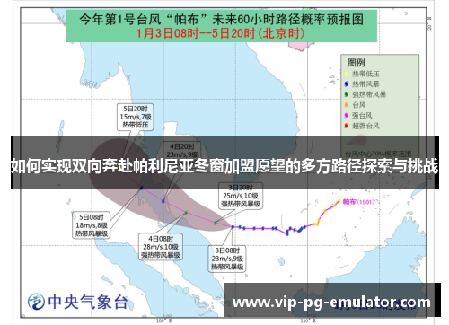 如何实现双向奔赴帕利尼亚冬窗加盟愿望的多方路径探索与挑战