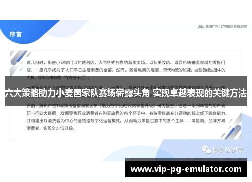 六大策略助力小麦国家队赛场崭露头角 实现卓越表现的关键方法