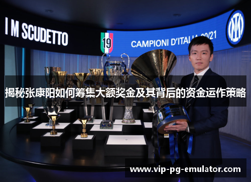揭秘张康阳如何筹集大额奖金及其背后的资金运作策略