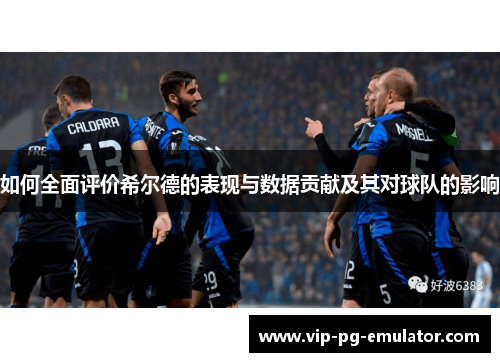 如何全面评价希尔德的表现与数据贡献及其对球队的影响