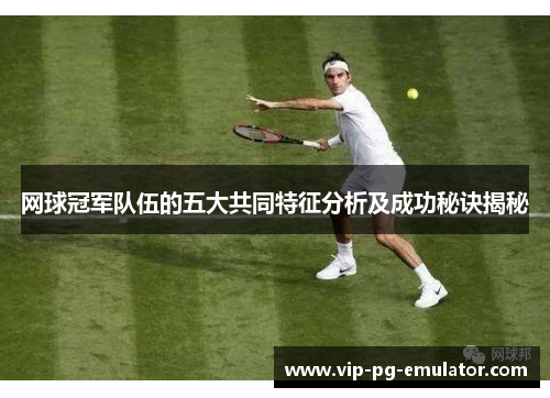 网球冠军队伍的五大共同特征分析及成功秘诀揭秘