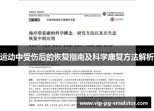 运动中受伤后的恢复指南及科学康复方法解析